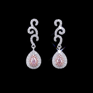 Fancy Diamond Jewelry Earrings
