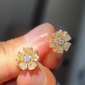 Customized Fancy Diamond Jewelry Earrings